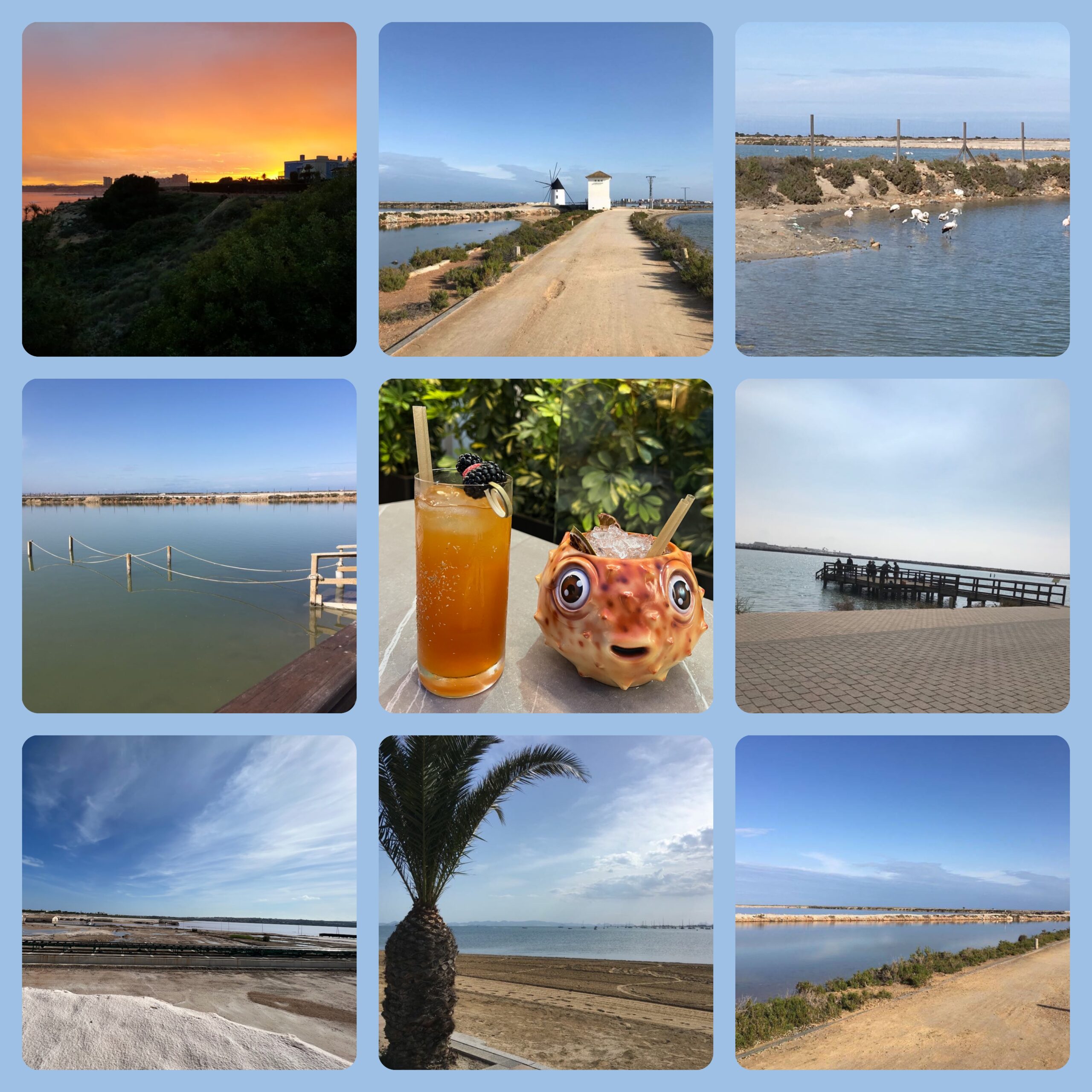 OrihuelaCosta-Collage-02
