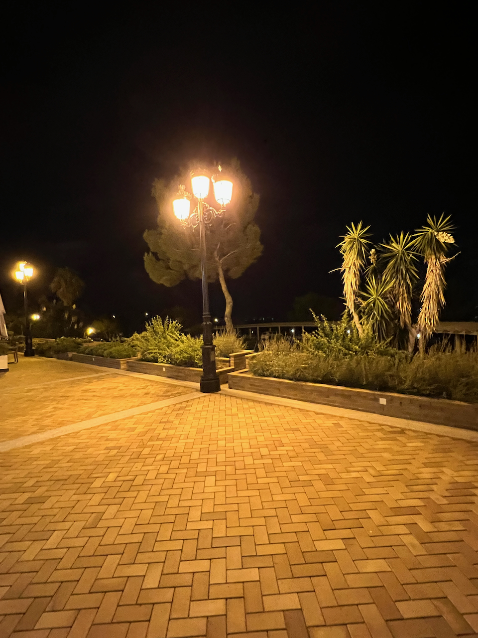 OrihuelaCosta_202309 - 19
