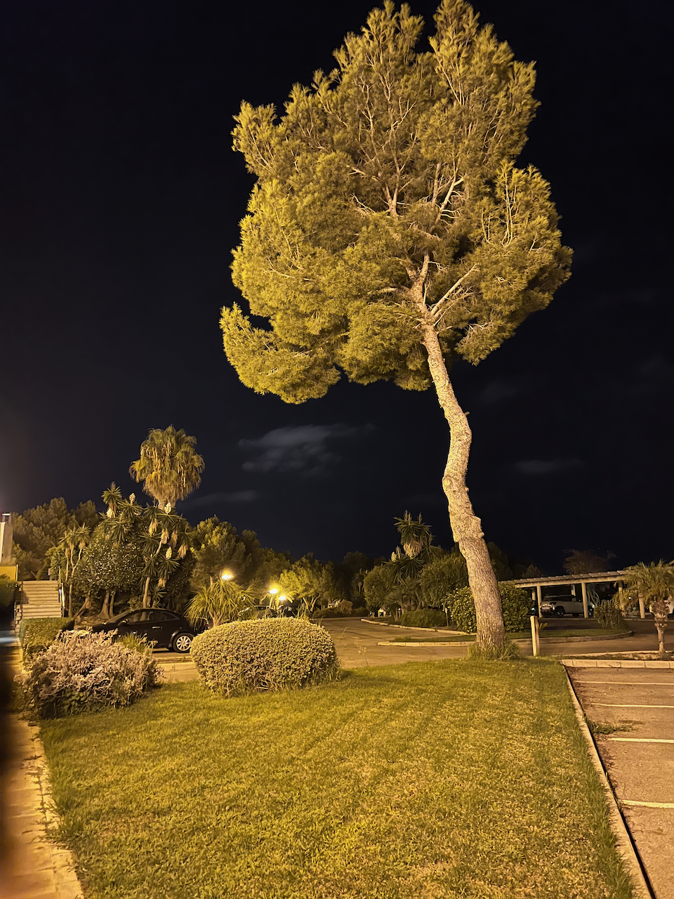 OrihuelaCosta_202309 - 20